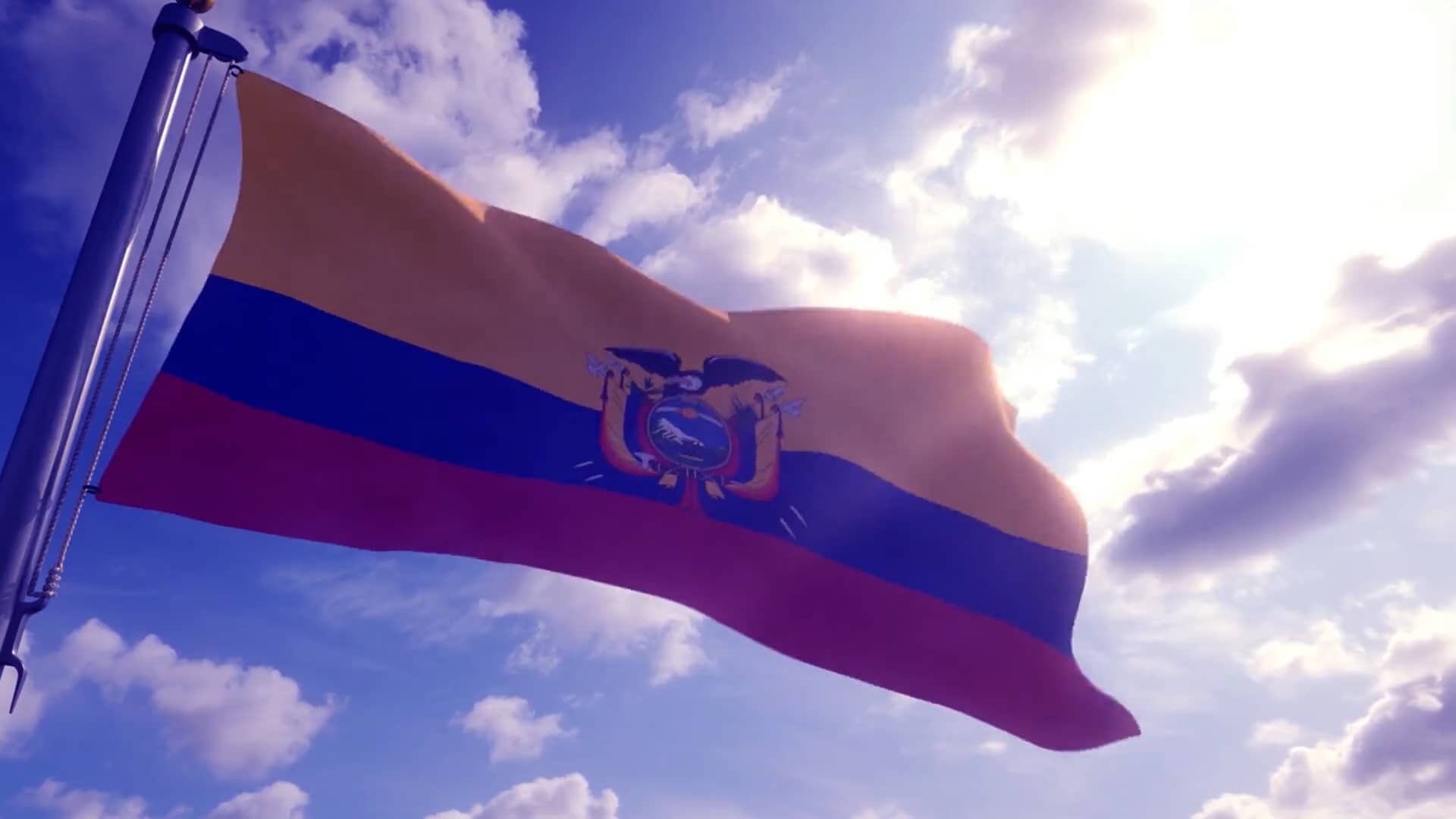 video-web on Vimeo