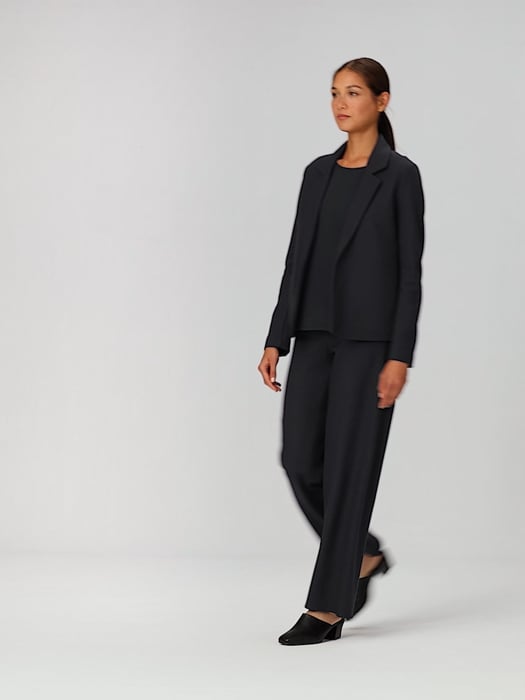 Soft Jersey Drape Pants + Black Cropped Blazer - Extra Petite