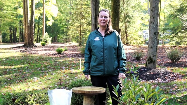 Birding Feeding Tips to Deter Squirrels, Attract Species, and Minimize Mess