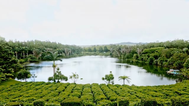 Mauritius Oil Spill – Sometimes it Takes a Disaster