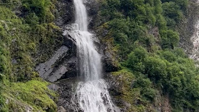 Mais de 20 vídeos grátis em HD e 4K de Alaska e Natureza - Pixabay