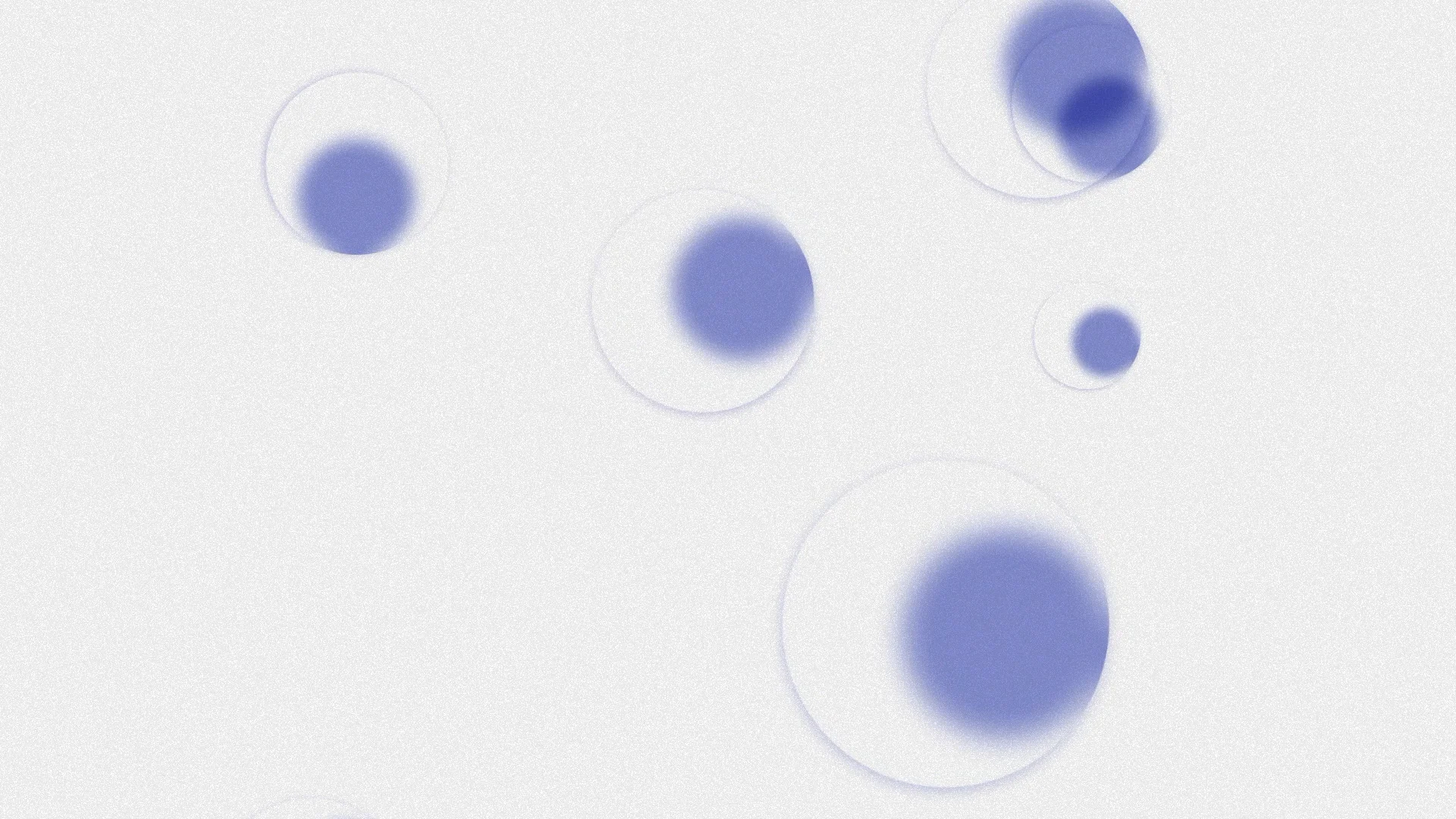 Comp 3 on Vimeo