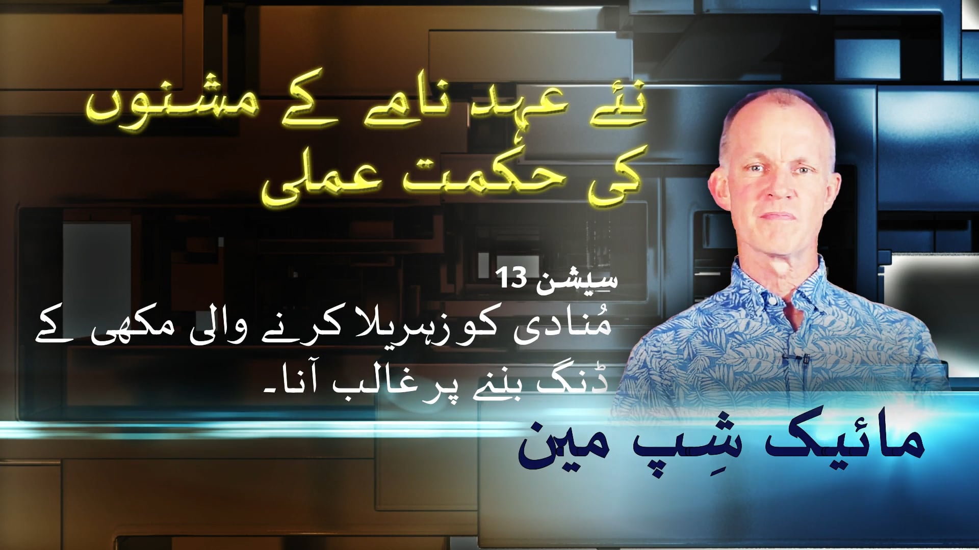 13- کوئی بھی تین دلائل منادی کو زہریلا کرنے والی مکھی کے ڈنگ بننے پر غالب آنا۔