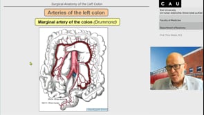 Surgical anatomy of the left colon | WebSurg, the online university of ...