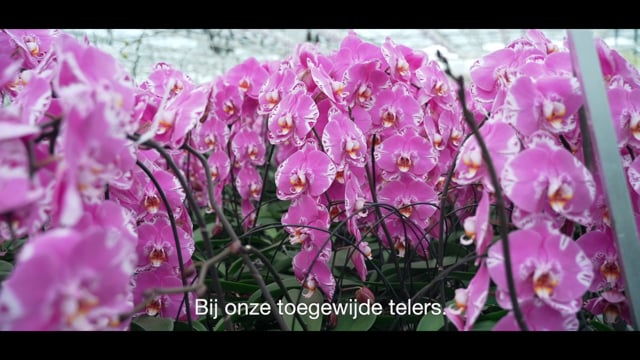 Bedrijfsvideo Florca