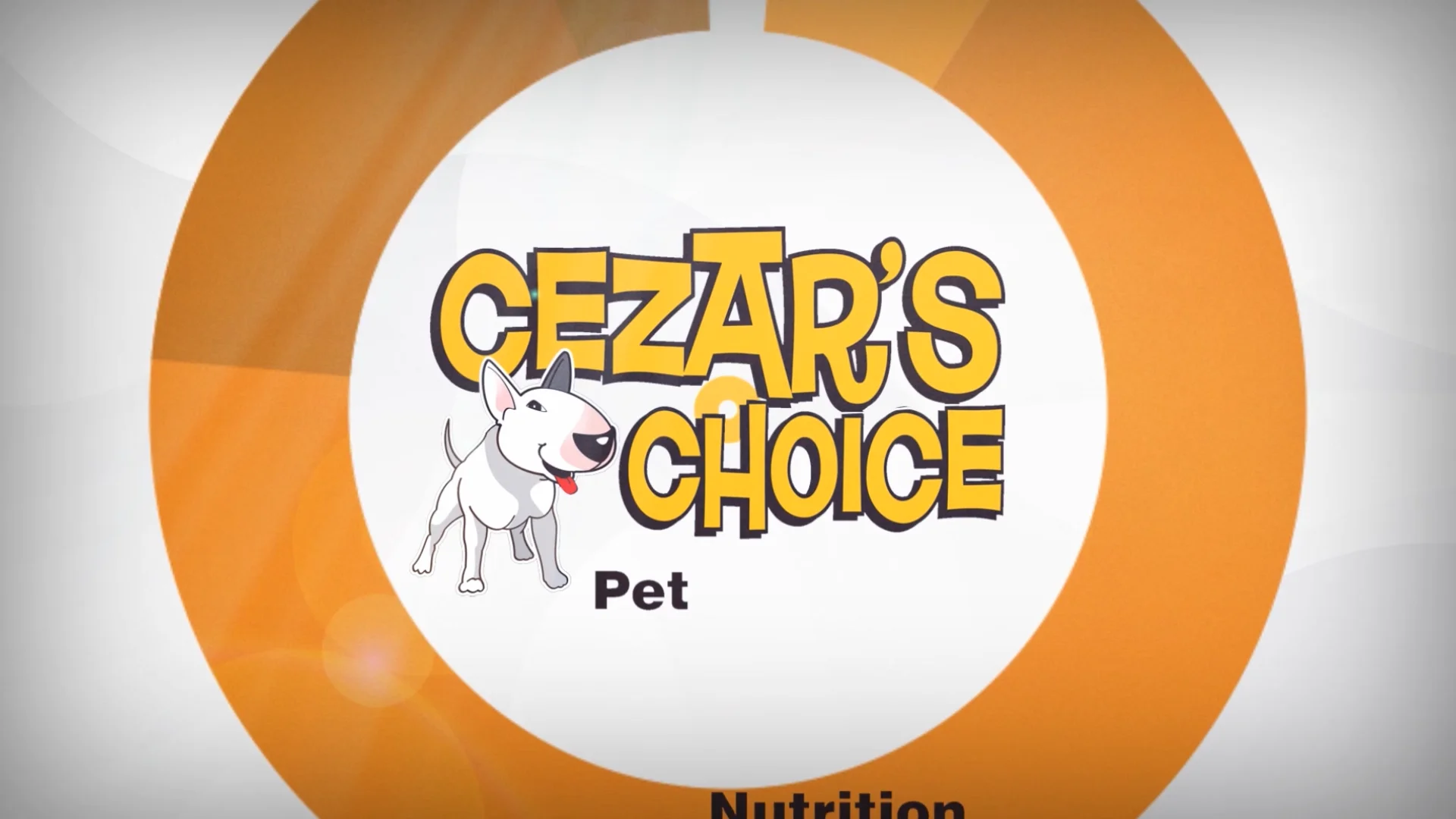 Cezar's Choice - 2D Animation.mp4 on Vimeo