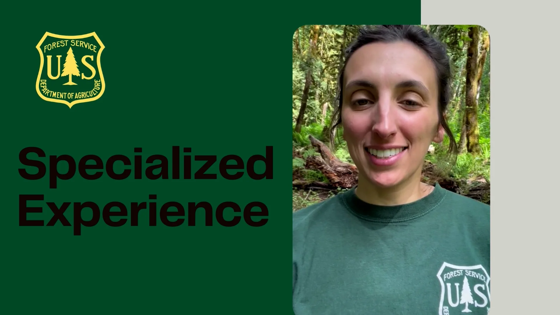 Understanding Specialized Experience