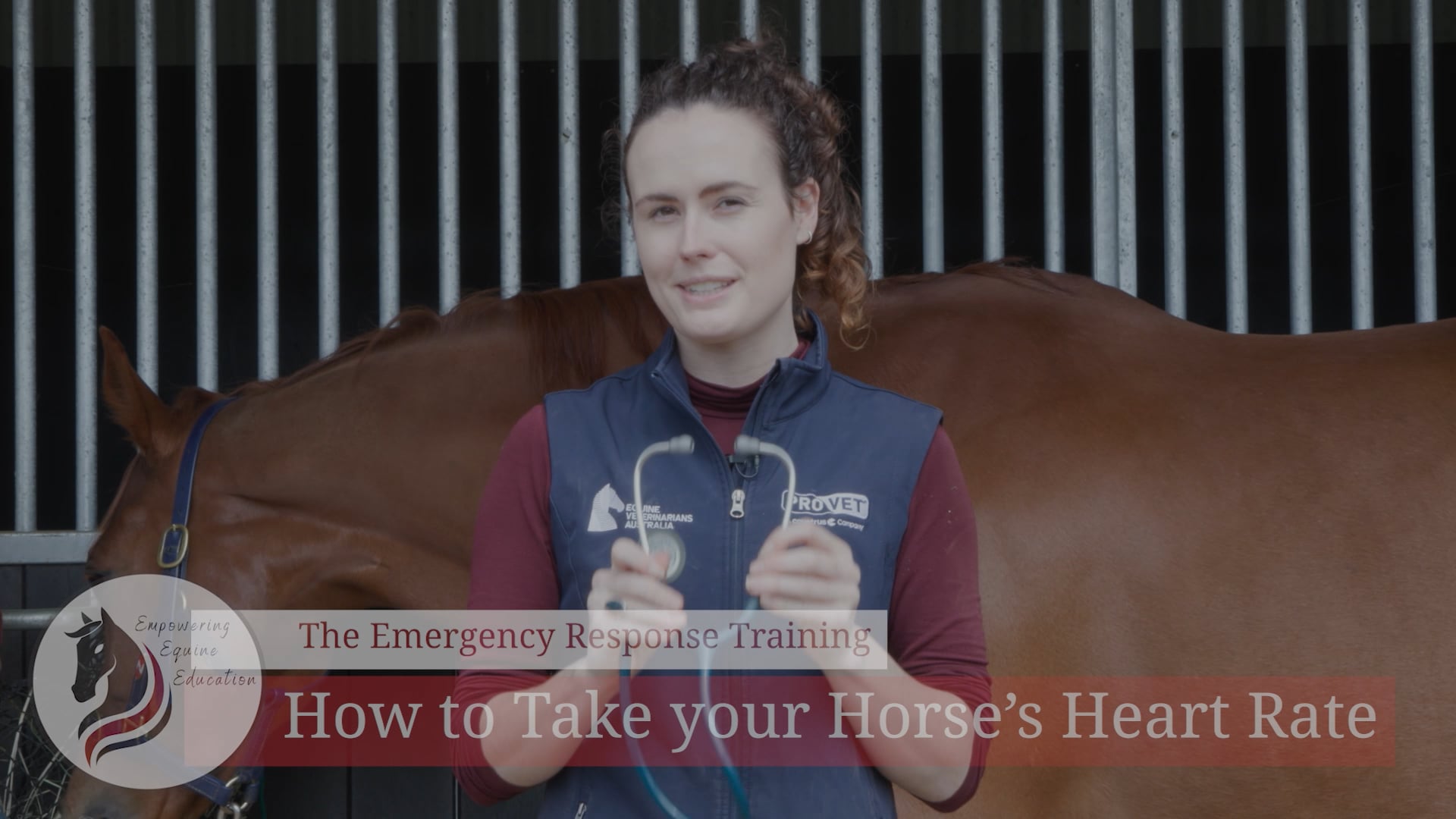 How to take your Horse's Heart Rate Draft 3 on Vimeo