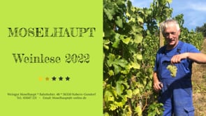 Weinlese 2022 - Danke an alle Helfer