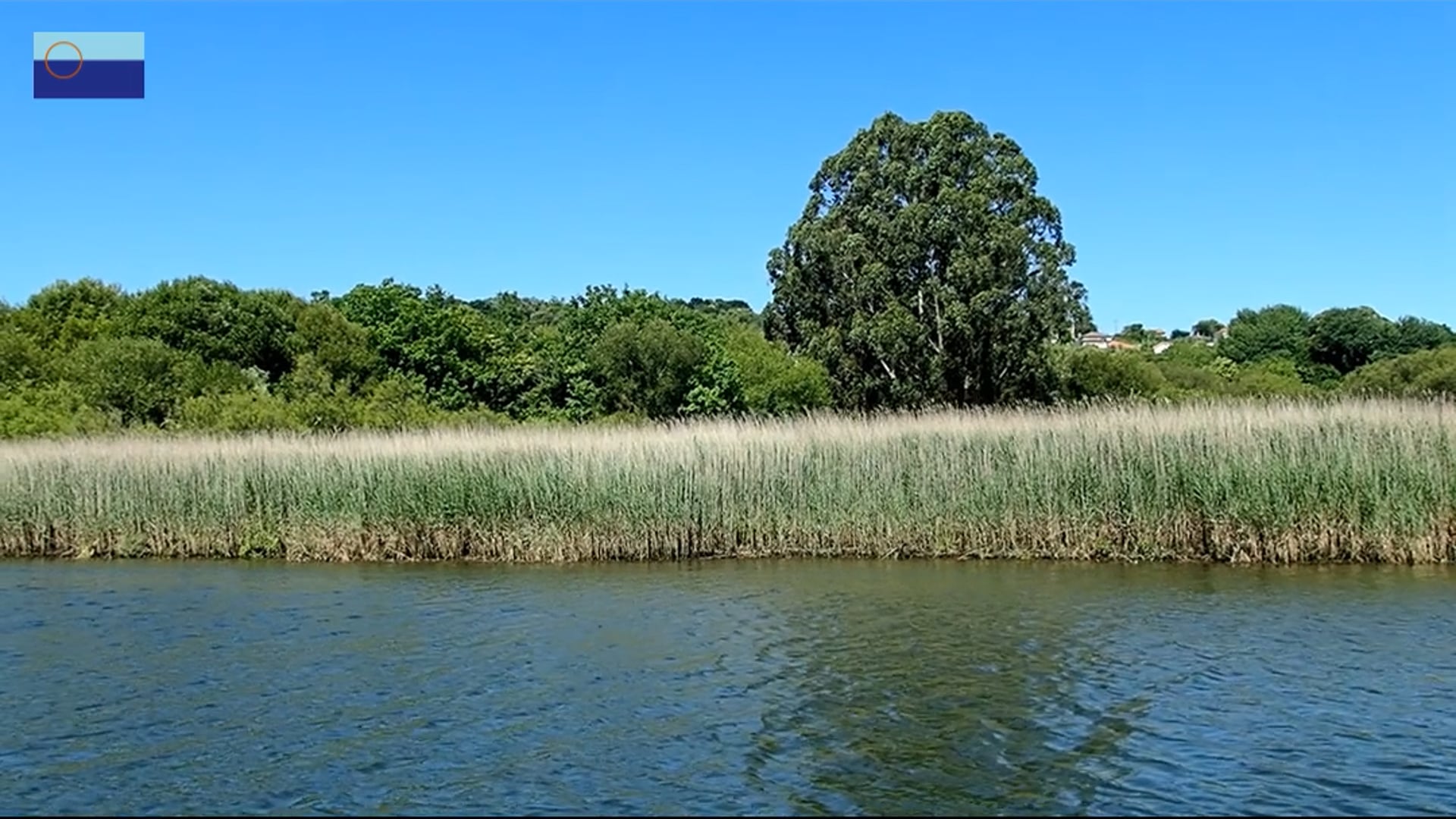 Experiencias Inmersivas da Biosfera