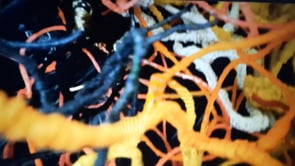 Single Video thumbnail