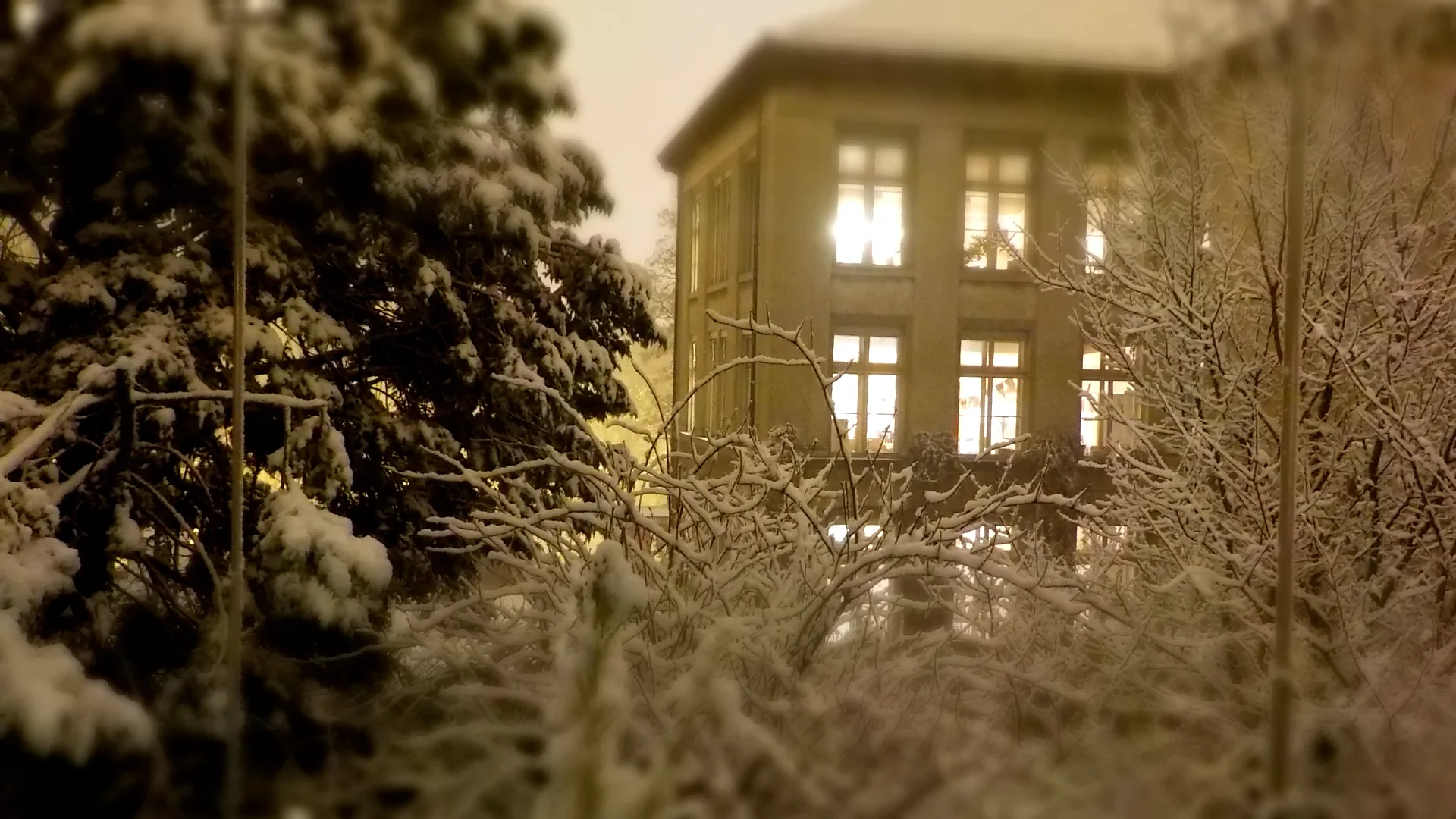 Nieva Berlin on Vimeo