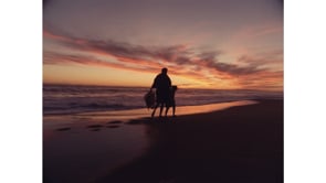 Videos Marcello Bozzini likes on Vimeo