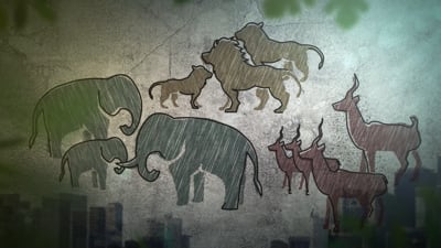 Warum werden Tiere im Zoo getötet