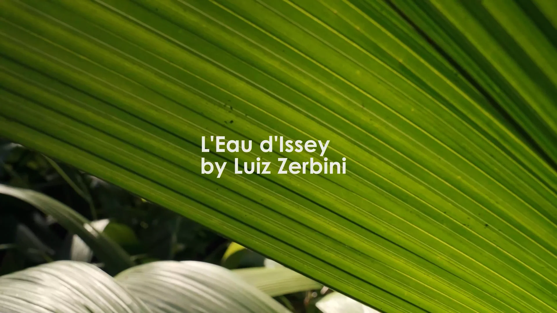 【激レア】ISSEY MIYAKE＊L'Eau d'Issey 限定版 激レア】ISSEY MIYAKE＊L'Eau d'Issey 限定版 激レア】ISSEY MIYAKE＊L