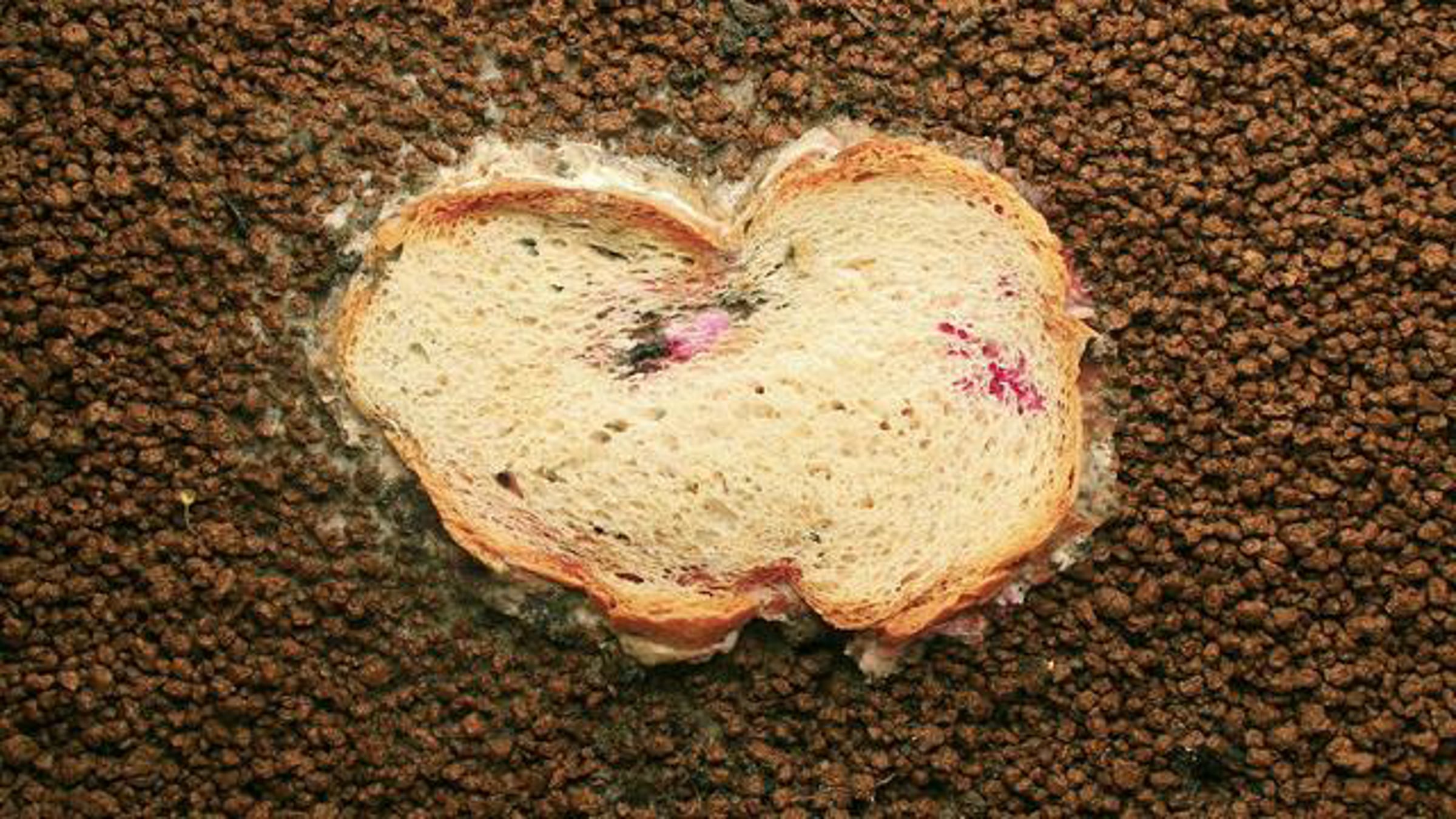 bread decay time lapse in HD | Videos & Movies on Vimeo