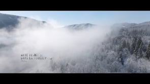 SUR LA PISTE DU LYNX