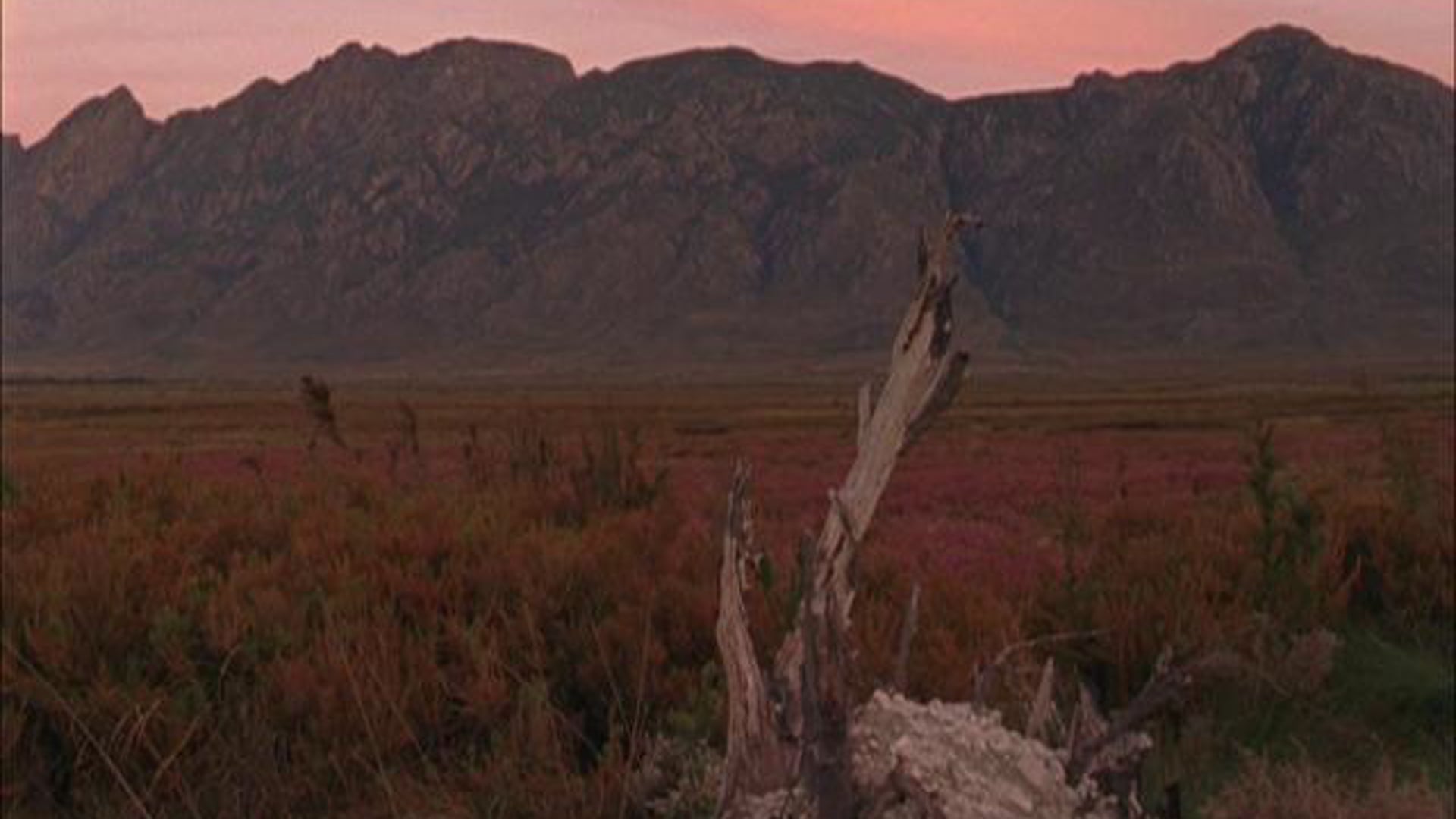 Kodak - Rainbow Nation