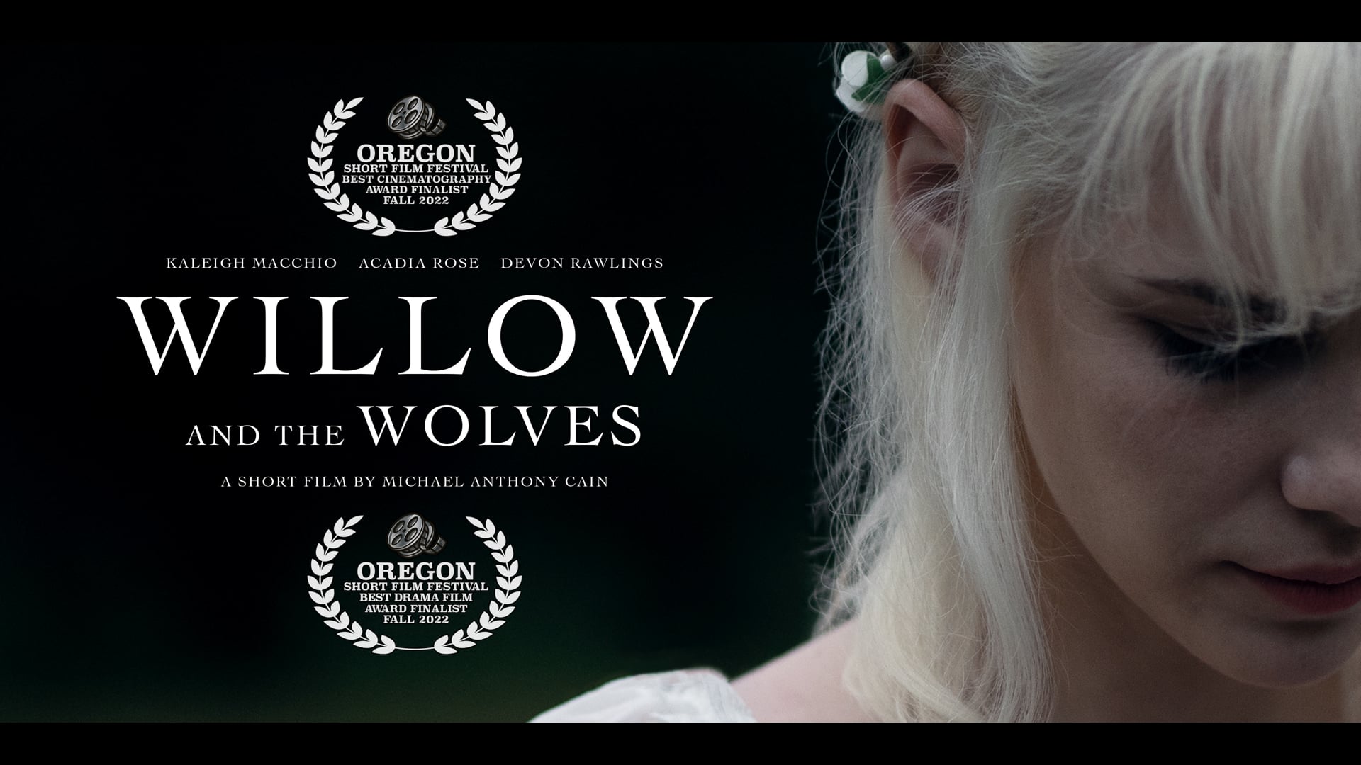 Willow and the Wolves