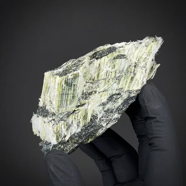 Chrysotile (Cook Coll.)