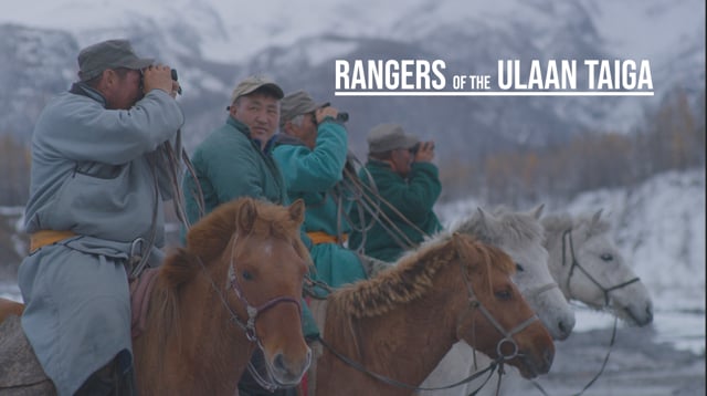 Rangers of the Ulaan Taiga  |  Documentary Trailer