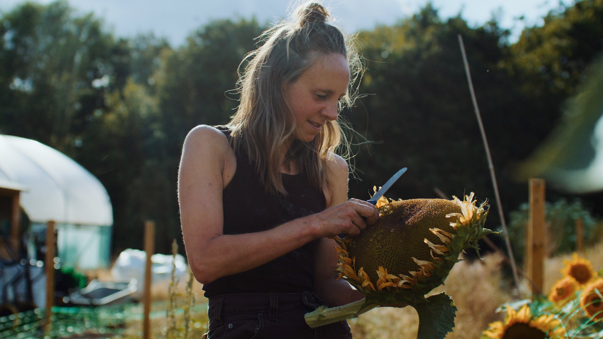 the farm | RED Komodo & DZOFilm Vespids