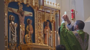 Eucharistic Revival V