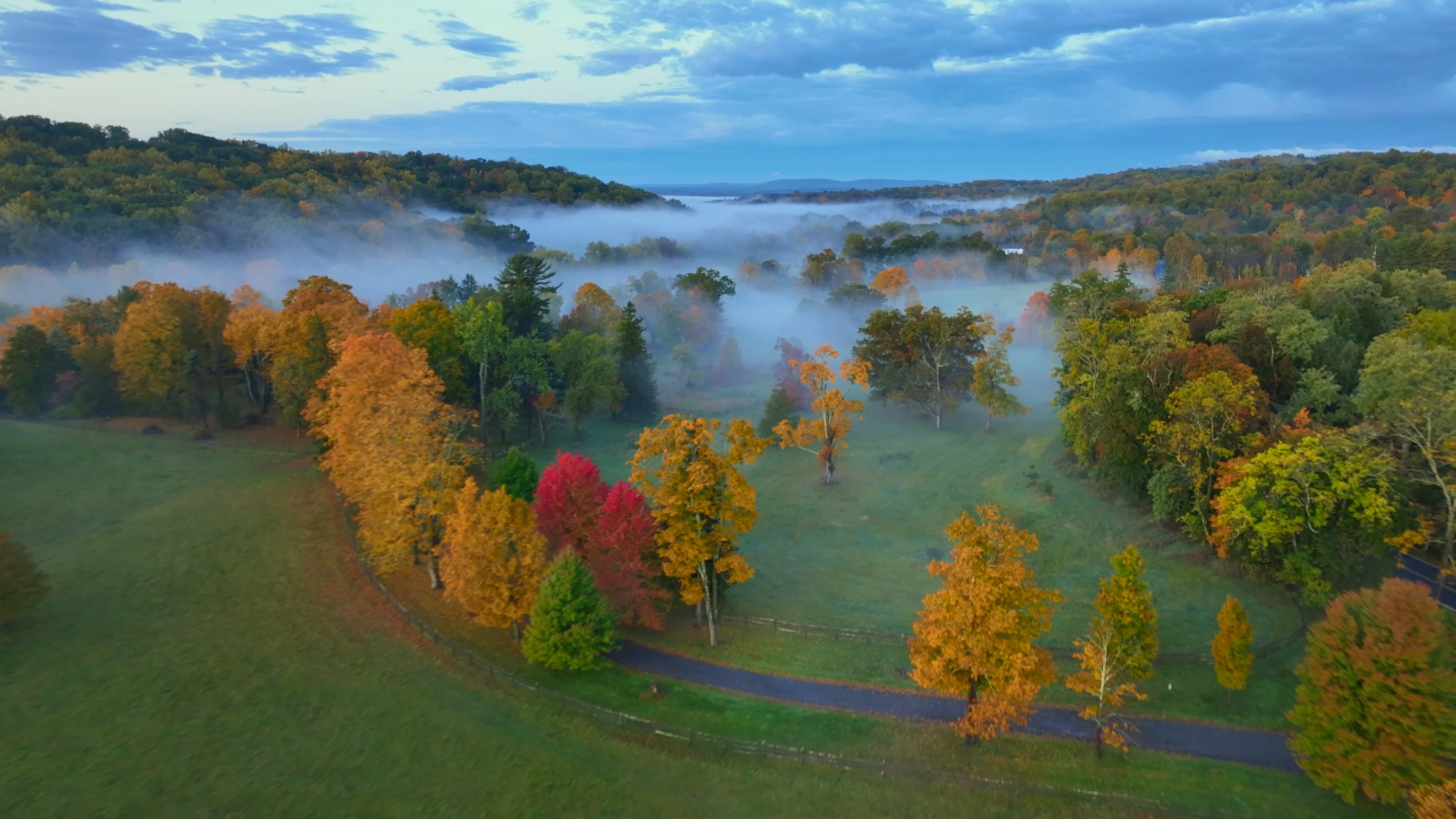 Fall Fog.mp4 on Vimeo