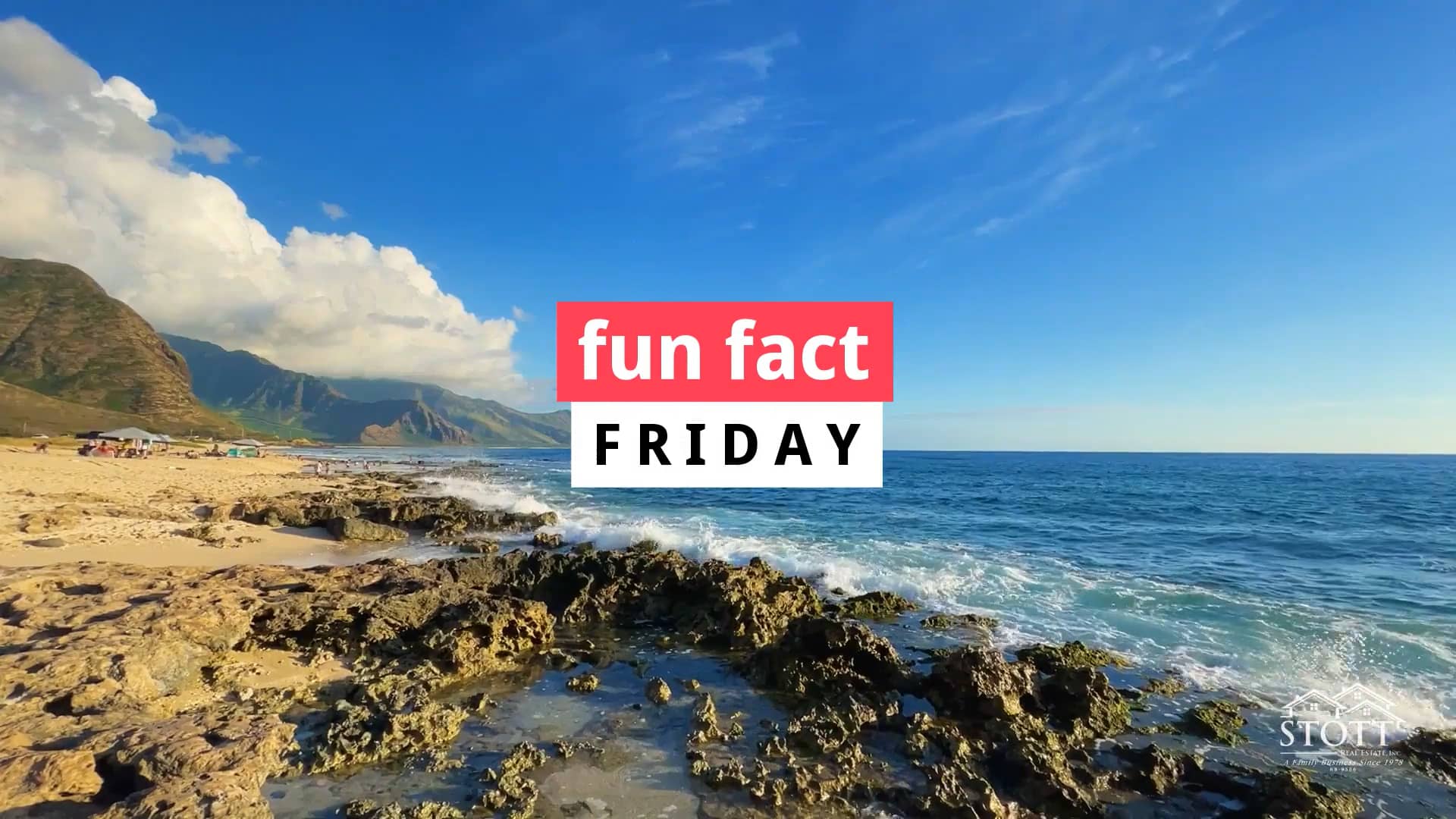 Fun Fact Friday Torch Waikiki / Stott Real Estate, Inc. on Vimeo