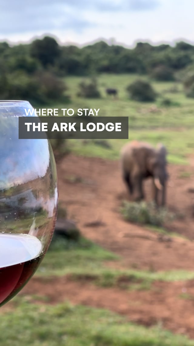 The Ark - Where to Stay in Kenya
