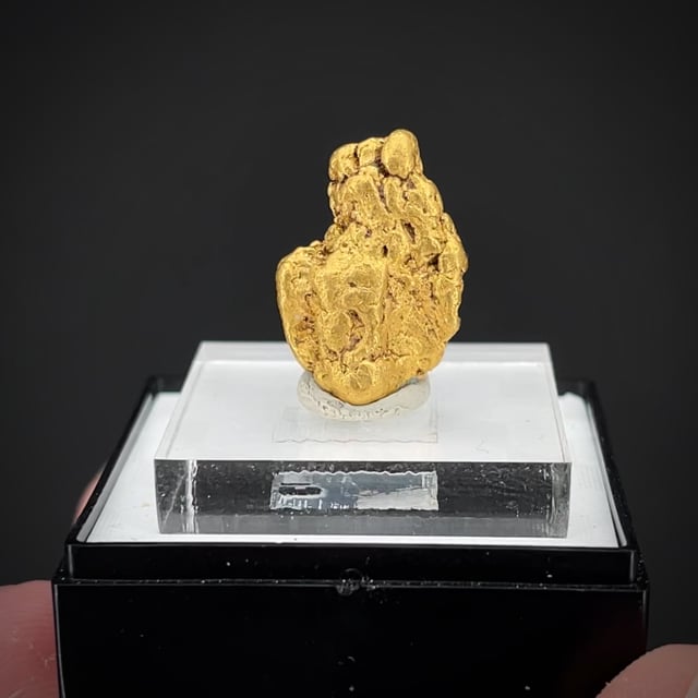 Gold nugget (rare for Mexico)