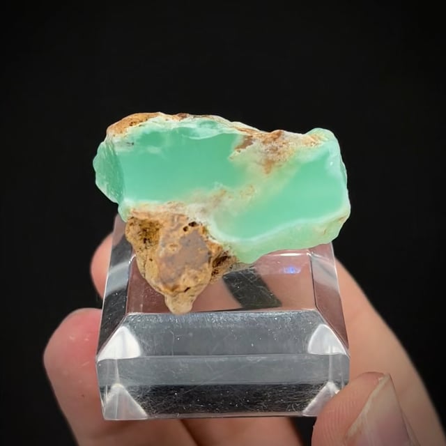 Chrysoprase (polished - 2018/2019 find)