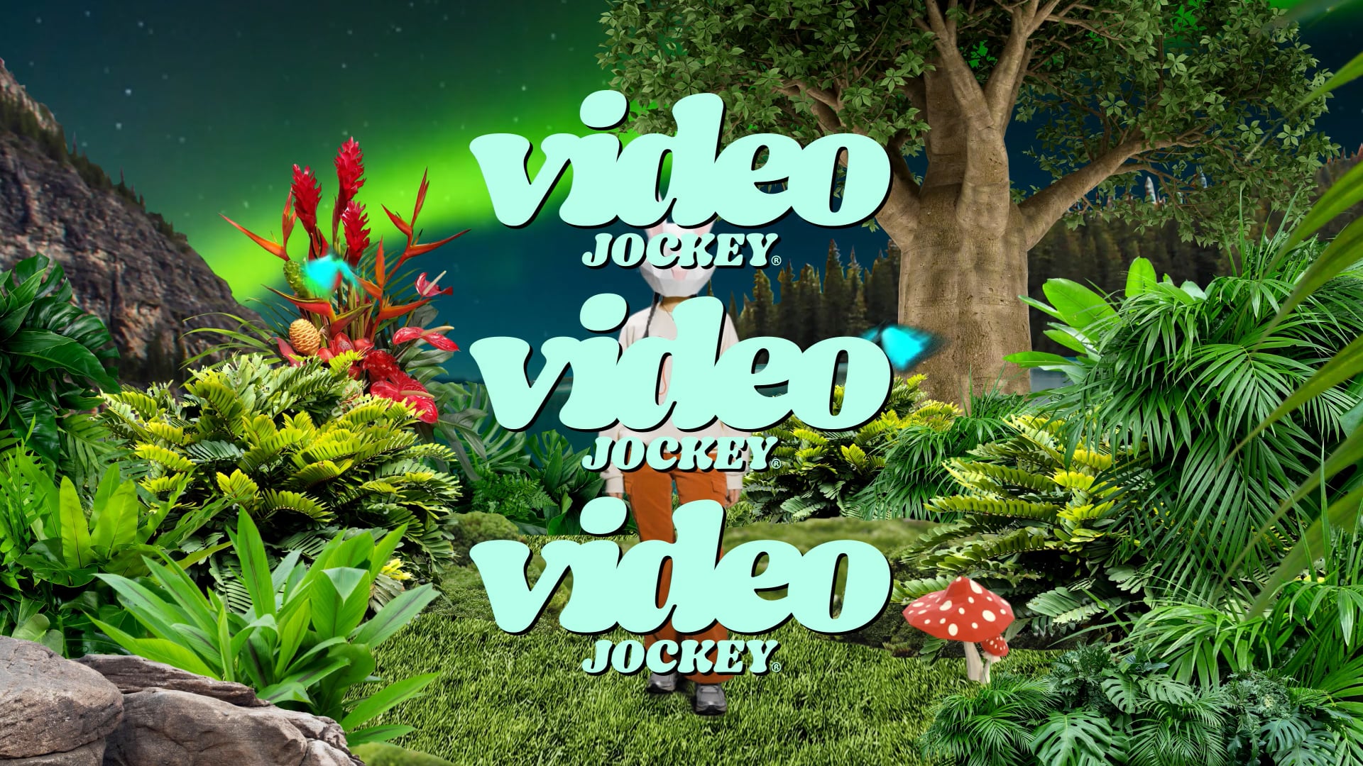 VideoJockey