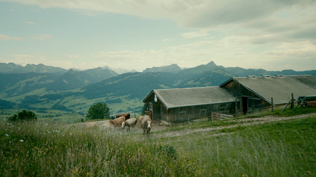 Vorschaubild von Rust