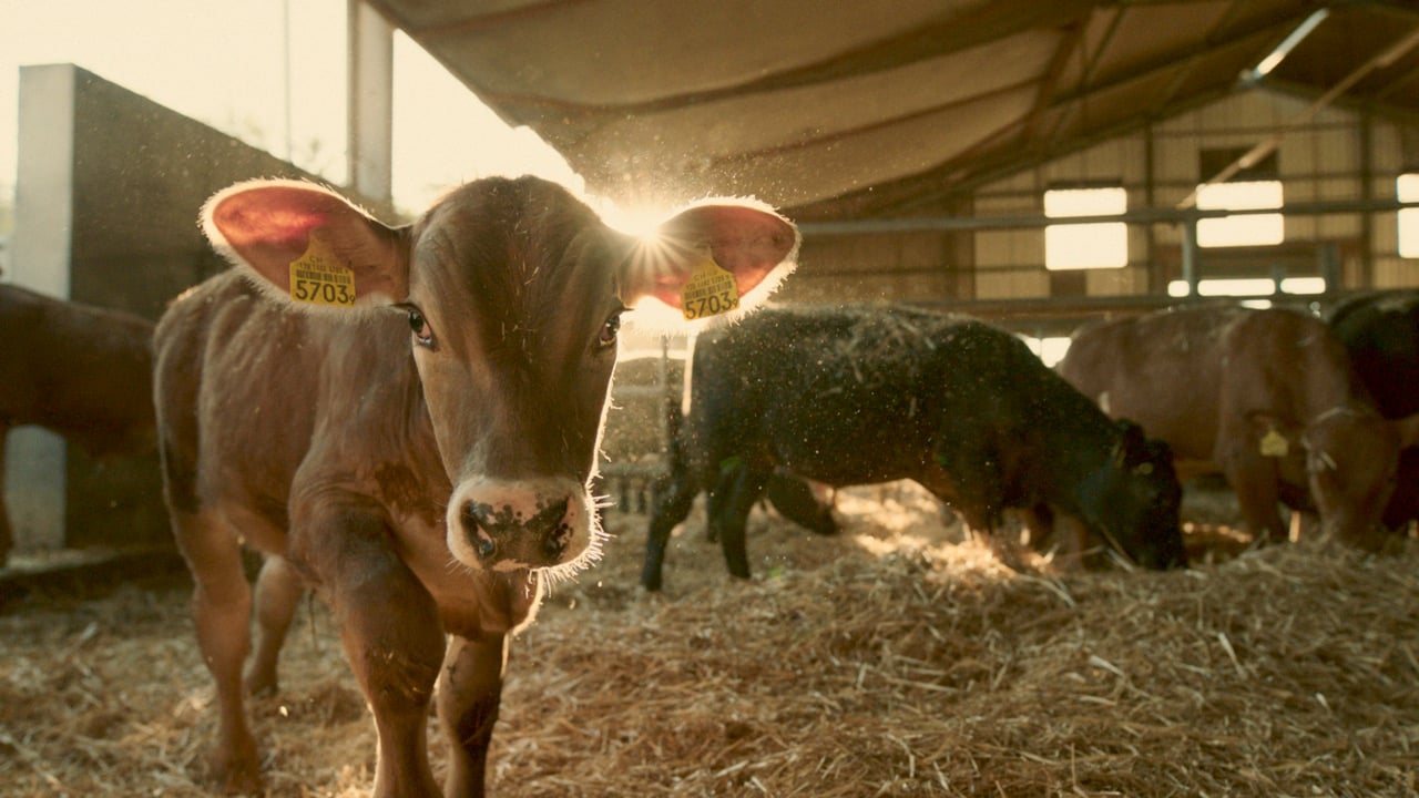Vorschaubild von Schlatter
