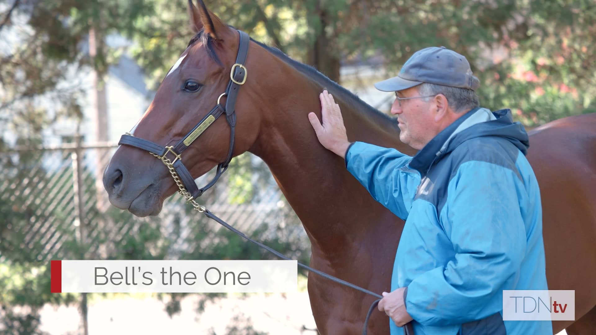bell-s-the-one-once-in-a-lifetime-horse-for-neil-pessin-on-vimeo