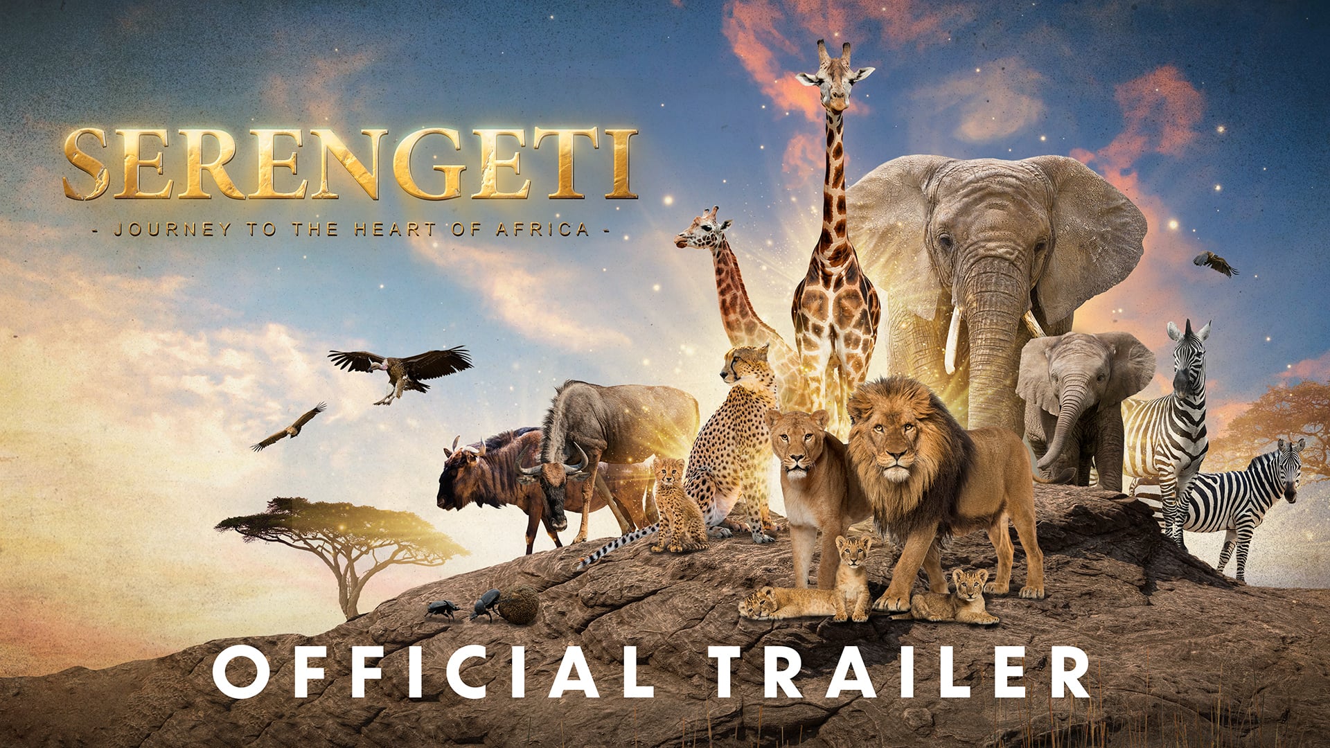 Serengeti: Journey to the Heart of Africa - Official Theatrical Trailer [1080]