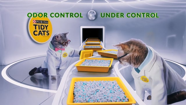 Tidy Cats Innovation Lab