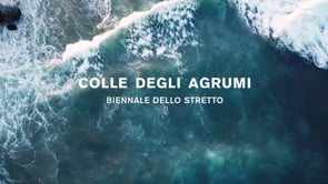 Video for the Biennale dello stretto