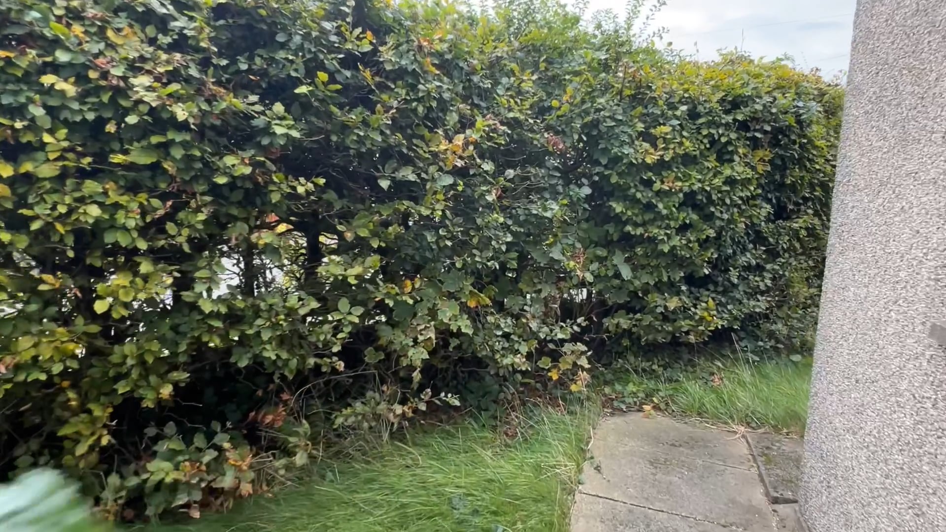 1 Ashfield Gardens on Vimeo