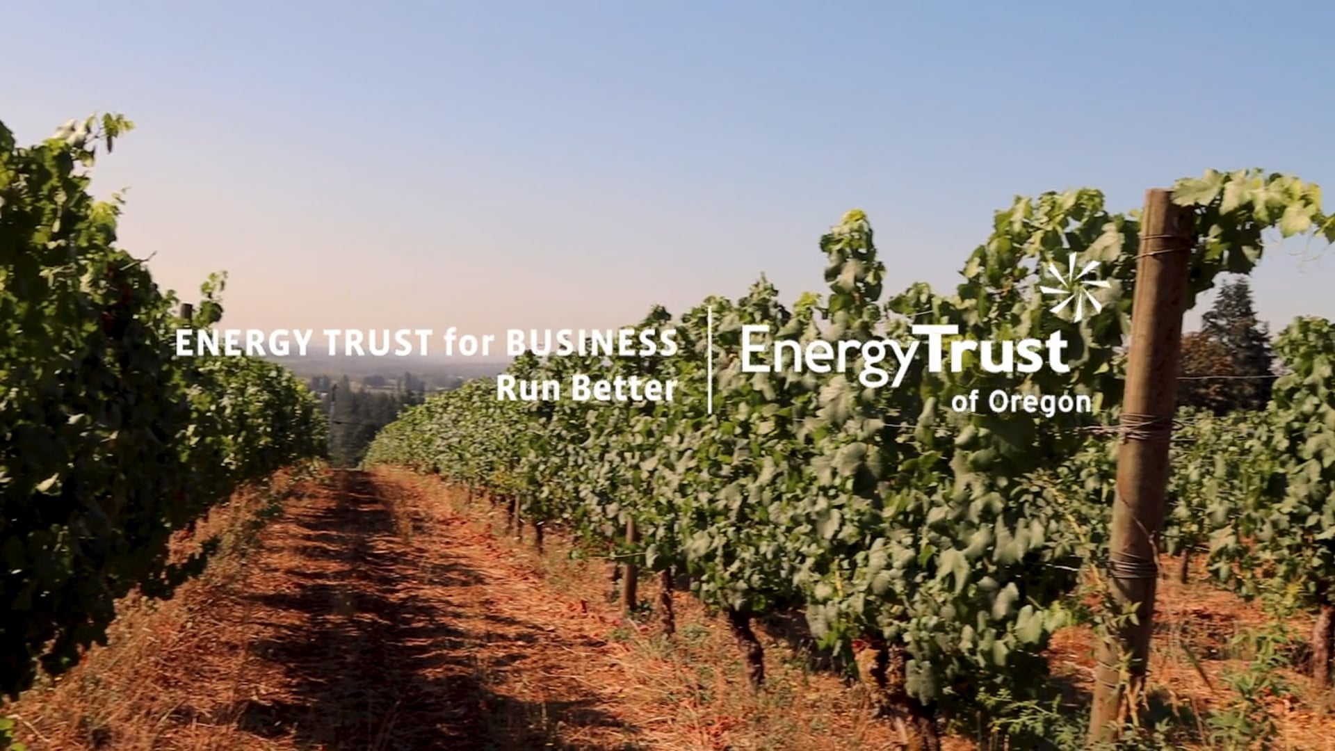 Energy Trust // Run Better Campaign - Cameron Winery