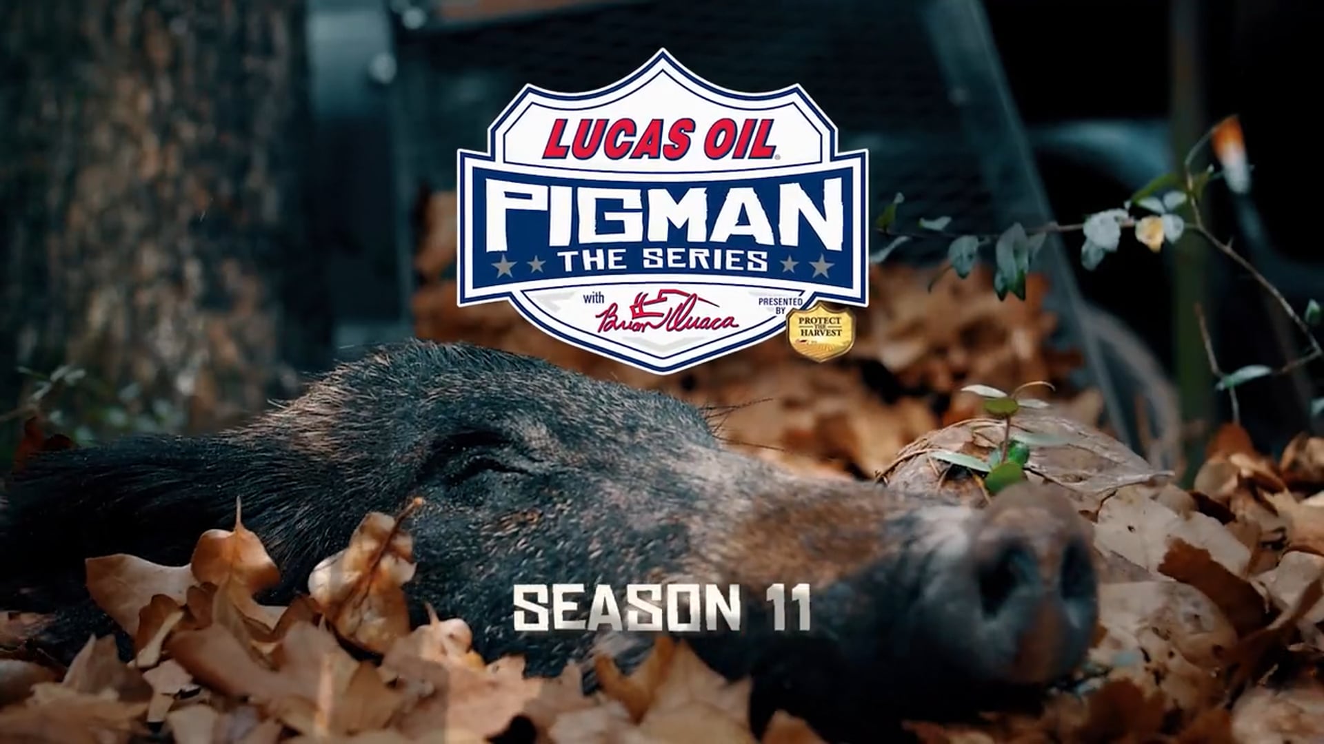 Pigman Season 11 Intro