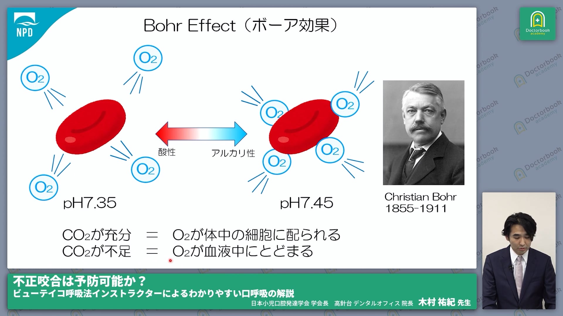 呼吸の生理学 #3