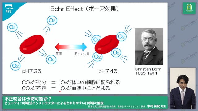 呼吸の生理学 #3