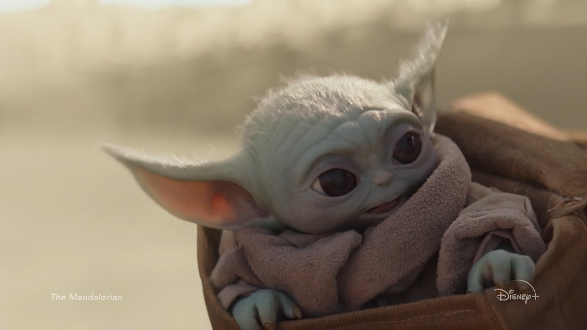 Disney+ Dancing With The Stars