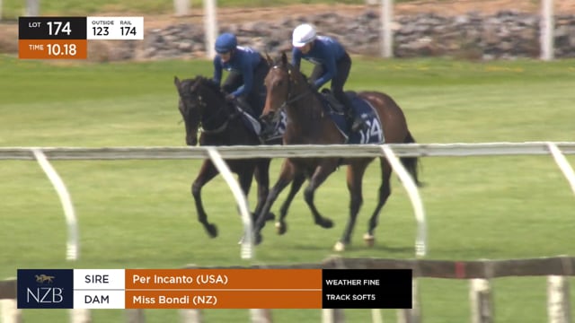 Lot 174