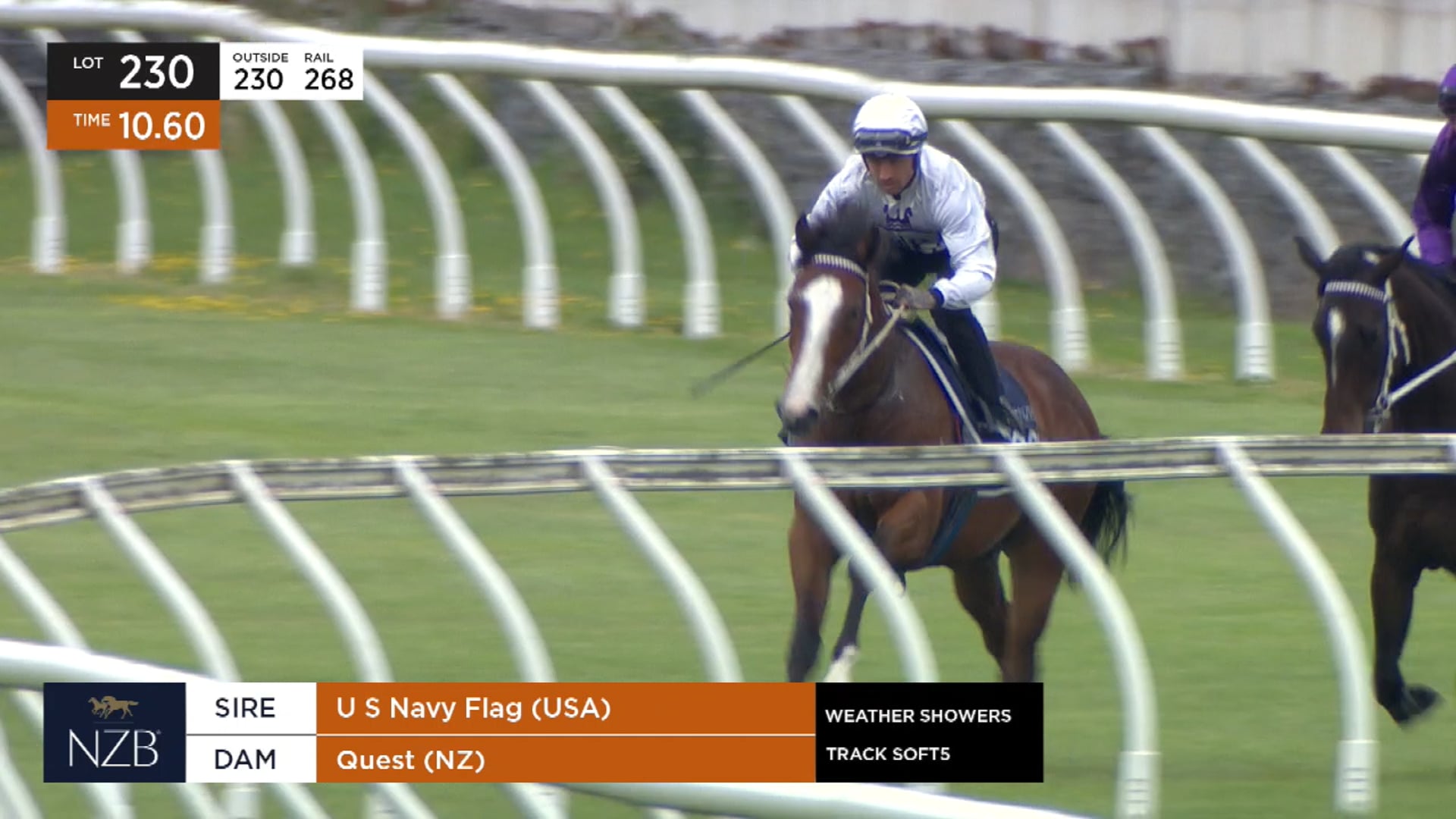 Breeze up - Lot 230