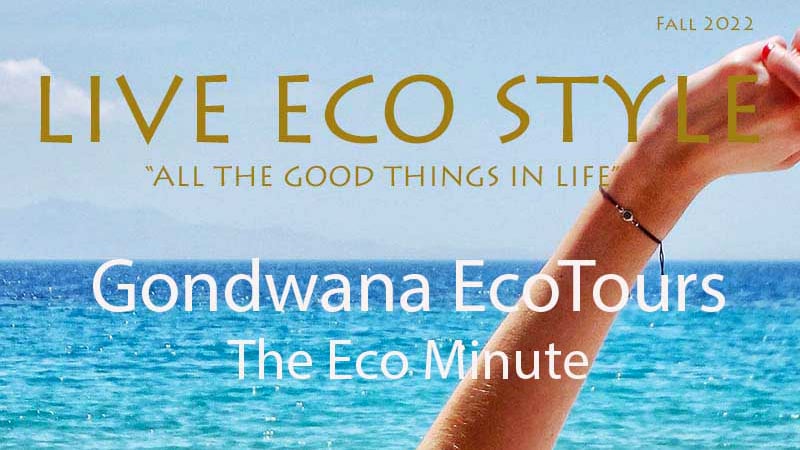 Gondwana EcoTours