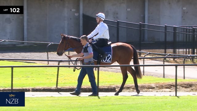 Lot 102