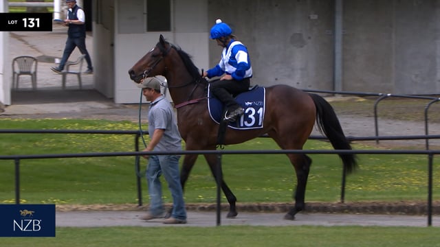 Lot 131